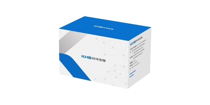维生素D检测（磁珠法）