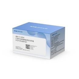 乙型肝炎病毒核酸测定试剂盒(PCR-荧光探针法)