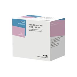 A型流感病毒抗原检测试剂盒（胶体金法）